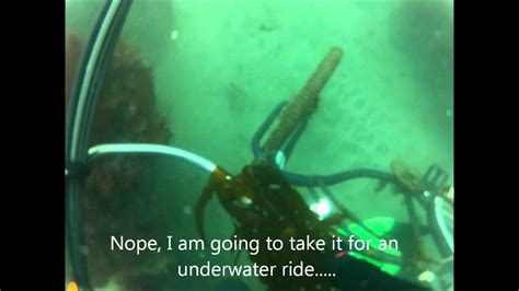 Scuba Diving The Ocean Beach Pier In San Diego Ca Using A Gopro Camera Youtube