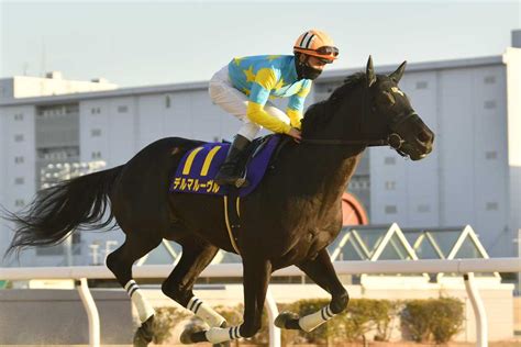 デルマルーヴル競走馬2016年産 成績｜地方競馬予想のウマニティ