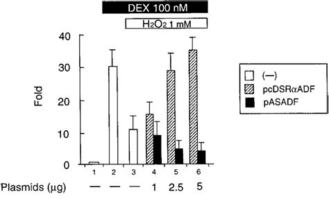 Effect Of Treatment With H O And Overexpression Of Trx Or Antisense