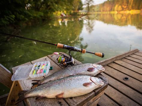 Fishing Tips for Beginners: The Complete Guide