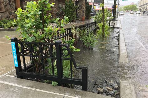 Los Jardines De Lluvia De Nueva York