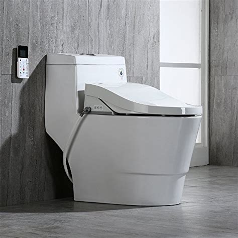 The 7 Best Bidet Toilet Combos - Sleek and Modern - Toilet Haven