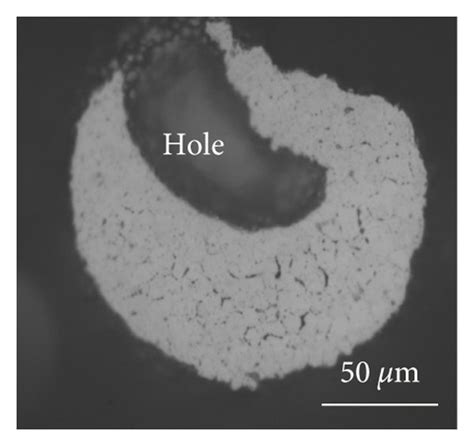 Several Different Morphologies Of Ni Pb Alloy Hollow Particles At 50 M