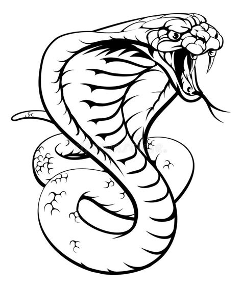 Livre De Coloriage De Serpent De Cobra Pour Le Vecteur D Adultes