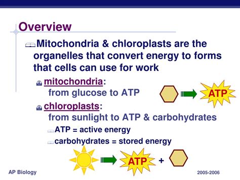 Ppt Chapter The Cell Mitochondria Chloroplasts Powerpoint