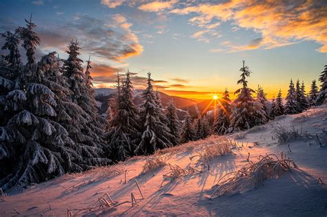 Winter Sunrise Wallpaper