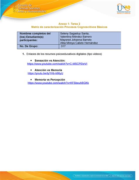 Anexo Tarea Matriz De Caracterizaci N Procesos Cognoscitivos