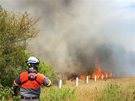 Combaten nuevo incendio forestal en Nuevo León