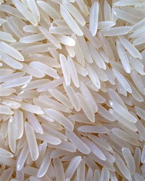 Pusa Basmati Rice Manufacturers And Suppliers & Exporters India | Agro ...