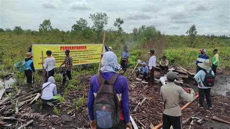 Sengketa Hektare Lahan Kalampangan Ma Menangkan Kelompok Tani Jadi