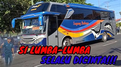 Lumba Lumba Yang Selalu Dicinta Hunting Bus Jam Tanggung Di Area