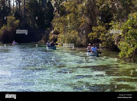 Along The Weeki Wachee River Florida Usariver Sceneweeki Wachee