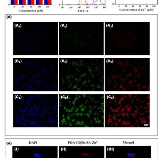 A Cell Viability Of Hela Cells After Incubating With Various