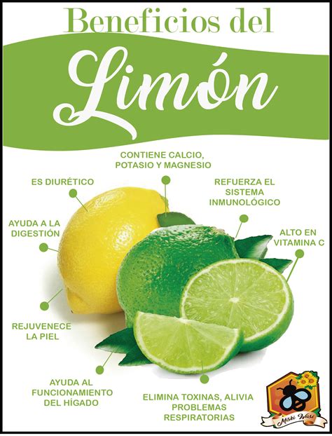 Beneficios del Limón Beneficios del limón Consejos para la salud