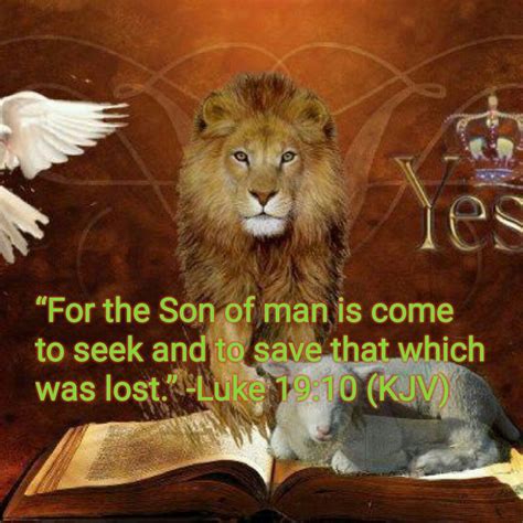 Pin By Chloe On Jesus Is King Lion Of Judah The Son Of Man