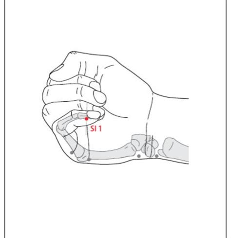 Si 1 Acupuncture Point Acupuncture Point Locations Review