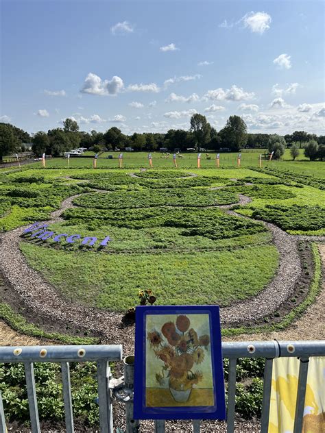 Etten Leur Jaar Van De Zonnebloem Takii Europe B V