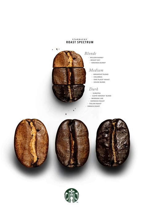 Coffee Beans Types Explained – Idalias Salon