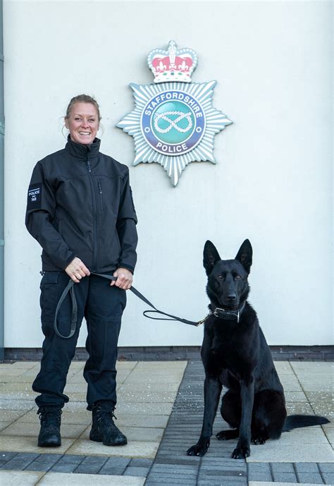 Dog Unit bolstered with newest duo | Staffordshire Police