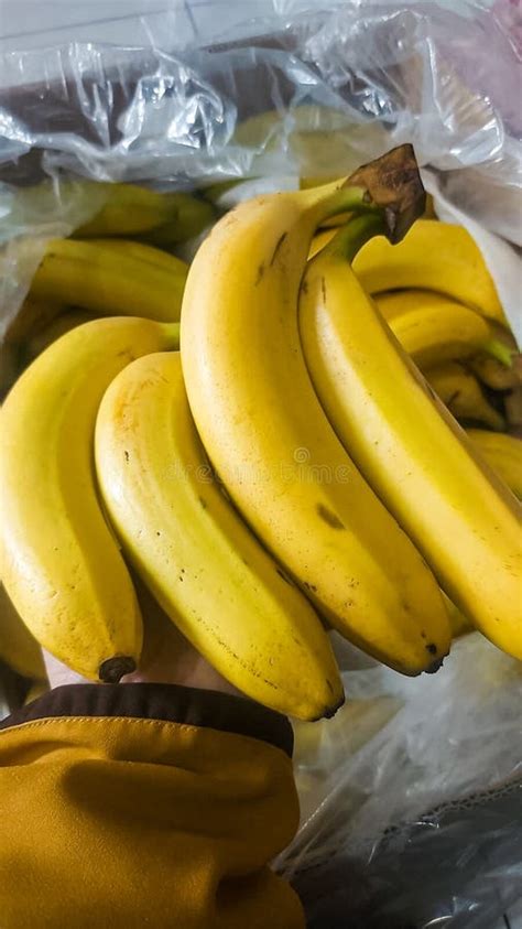 Banana Fruits In The Plastics Stock Photo Image Of Cuisine Produce