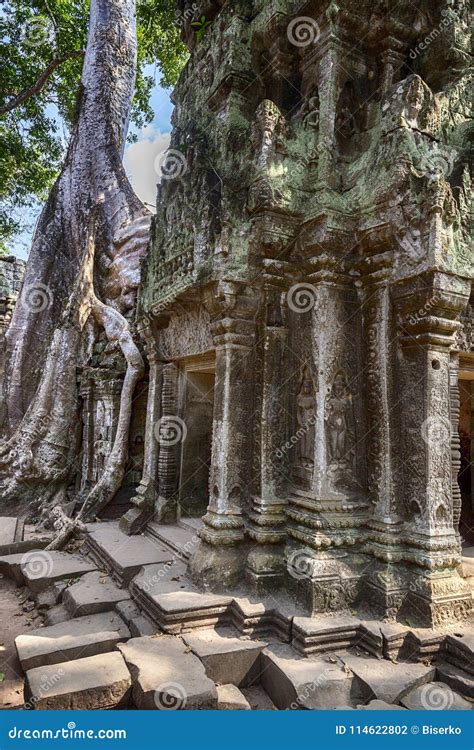 Angkor Wat Ruins N Cambodia Stock Photo Image Of Dencer Destination