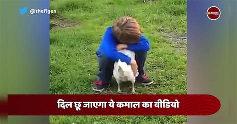 Animals Showing There Love To Master By Hugging Them Watch Lovely Viral