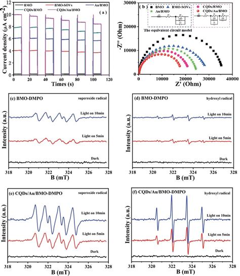 A Transient Photocurrent Response Under Visible Light Irradiation