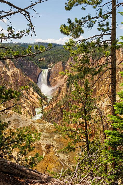 Lower Yellowstone Canyon Falls Yellowstone National Park Wyoming