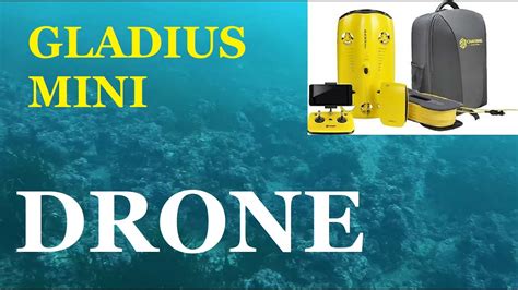 Underwater Drone 1st Test Gladius Mini From Chasing Innovation