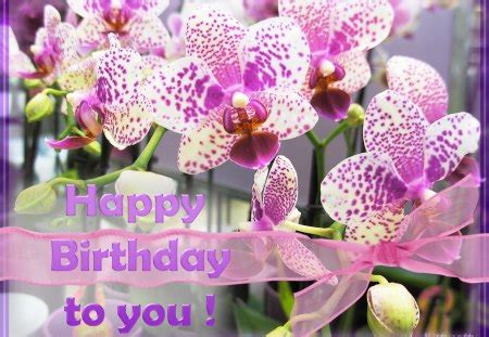 Happy Birthday Orchids