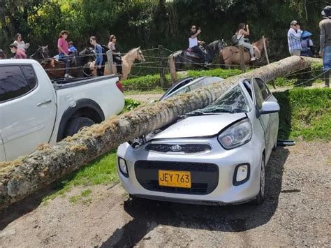 Nella valle del Cocora un veicolo è stato schiacciato da una palma di