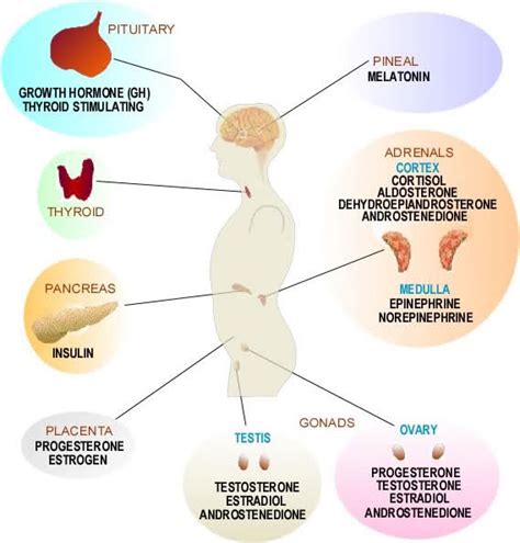 Kt S Blog Endocrinologist