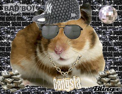 Gangsta Hamster Picture #103625420 | Blingee.com