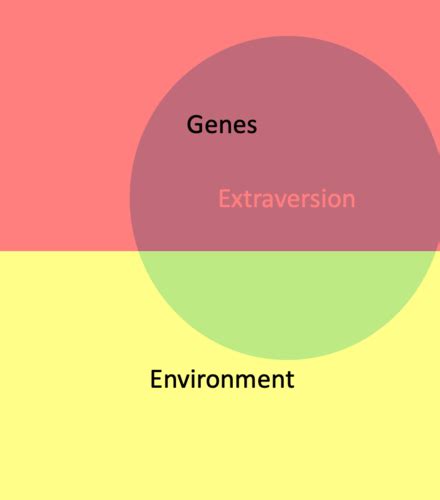 Unit 2 Lesson 6 Behavior Genetics Flashcards Quizlet