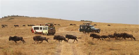 Five Reasons Why You Should Visit Kenya Kenya Safaris Tours Kenya