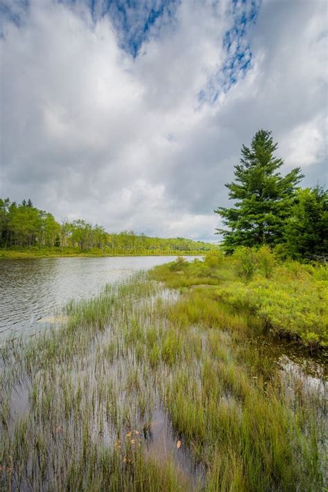 Pendleton Lake At Blackwater Falls State Park West Virginia Stock