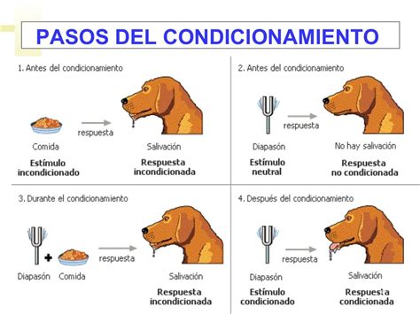 Condicionamiento Clásico