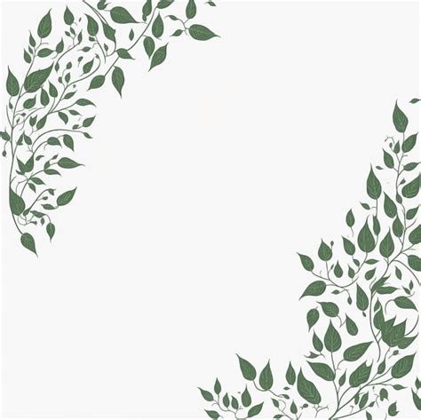 Premium Vector A Green Leafy Border