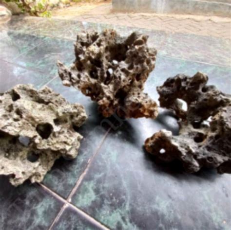 Fossil Besar Tebing Batu Terumbu Karang Akuarium Bonsai Sand Stone On