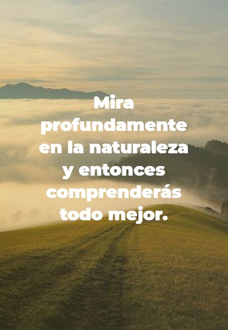 Frase Mira Profundamente En La Naturaleza Y Entonces