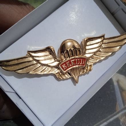 Jual Brevet Wing Pin Lencana Bekud Tni Ad Shopee Indonesia