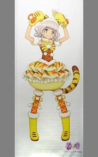 駿河屋 付属品欠品 太陽ペッパー 描き下ろし等身大タペストリー 「プリパラ」（タペストリー）