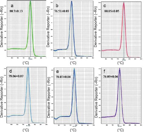 Sharpness Of Peak In A Melt Curve Indicating Specific Amplification Of