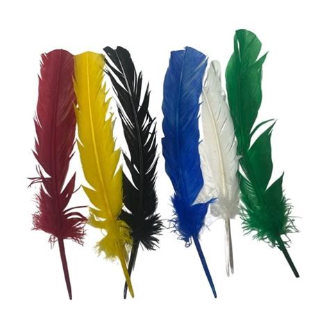 Quill Feather Pen for ritualistic writing and spell casting