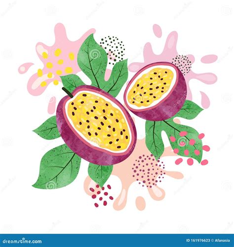 Passion Fruit Vector Illustration Abstract Watercolor Juicy Fruit Splash Stock Vector