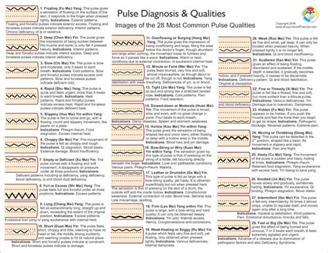 Pulse Diagnosis Chart 2nd Ed Clinical Charts And Supplies