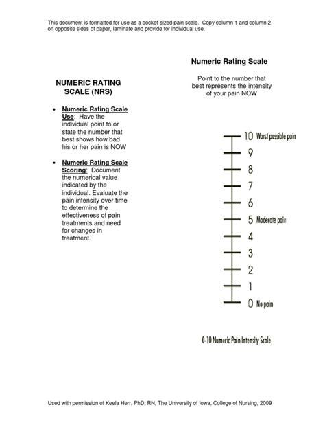 Numeric Rating Scale | PDF