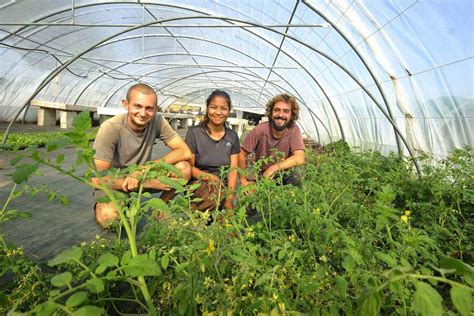 Grand Périgueux l aventure du maraîchage bio va se poursuivre sur les