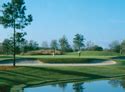 Florida Amateur Golf Tournaments