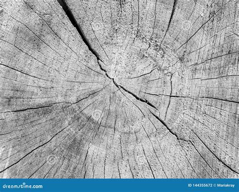 Old Cracked Wood Texture Background Black And White Stock Photo Image